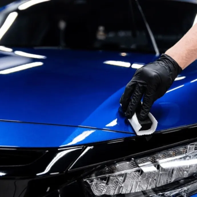 The Detailing Maniacs (TDM)